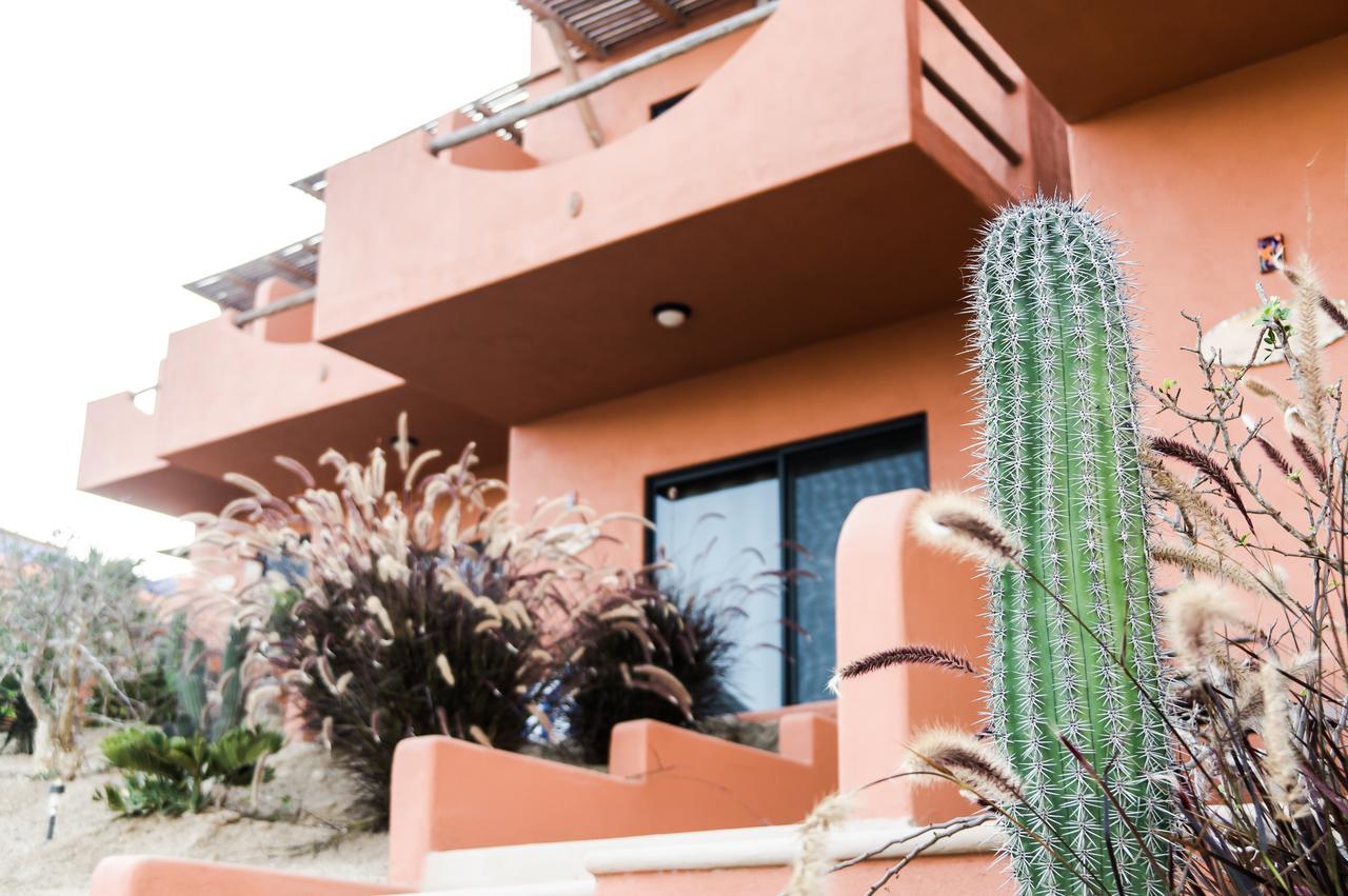 Cerritos Beach Hotel Desert Moon El Pescadero  Zewnętrze zdjęcie