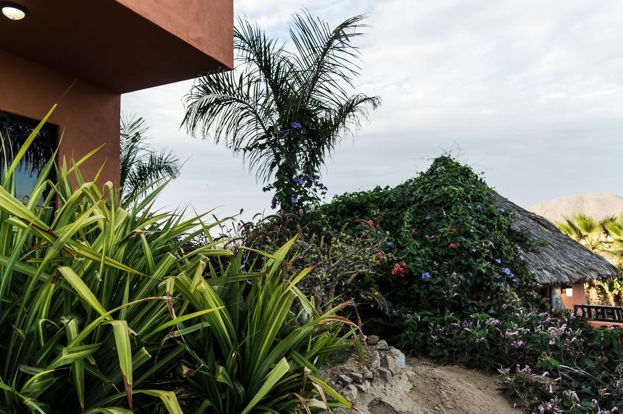 Cerritos Beach Hotel Desert Moon El Pescadero  Zewnętrze zdjęcie